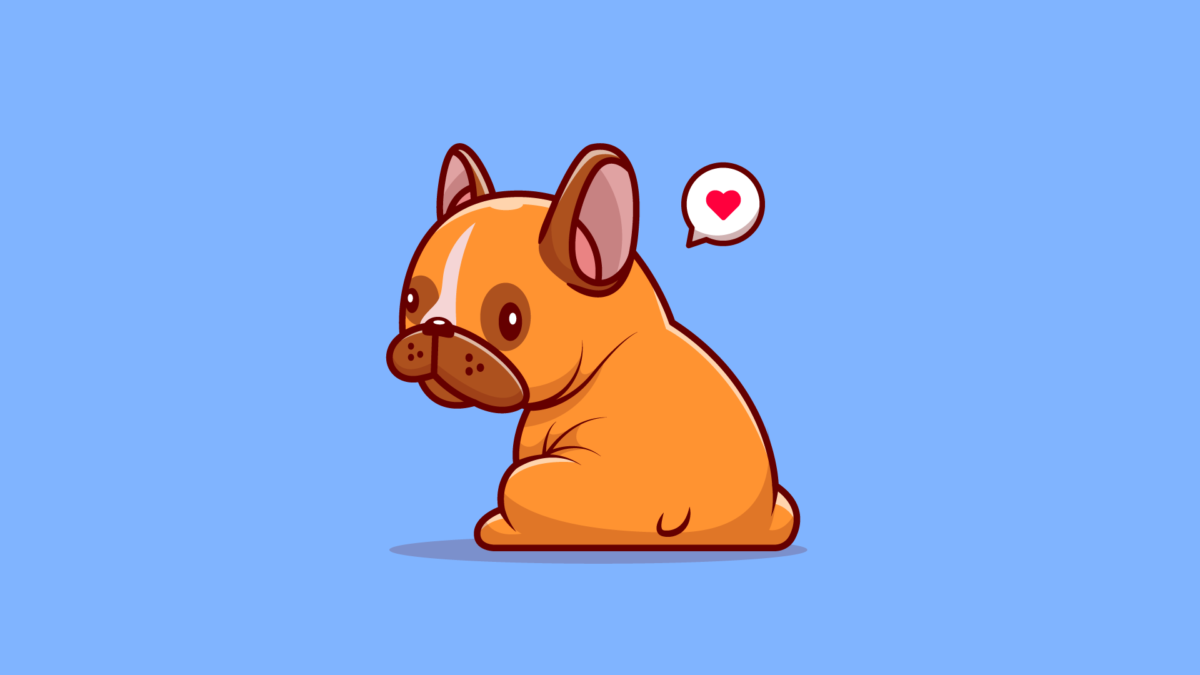 cute pug dog sitting blue