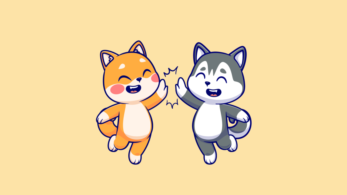 cute-shiba-inu dog